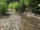 Extreme Niedrigwassersituation in einem Flussperlmuschelgewässer ©Felix Grunicke